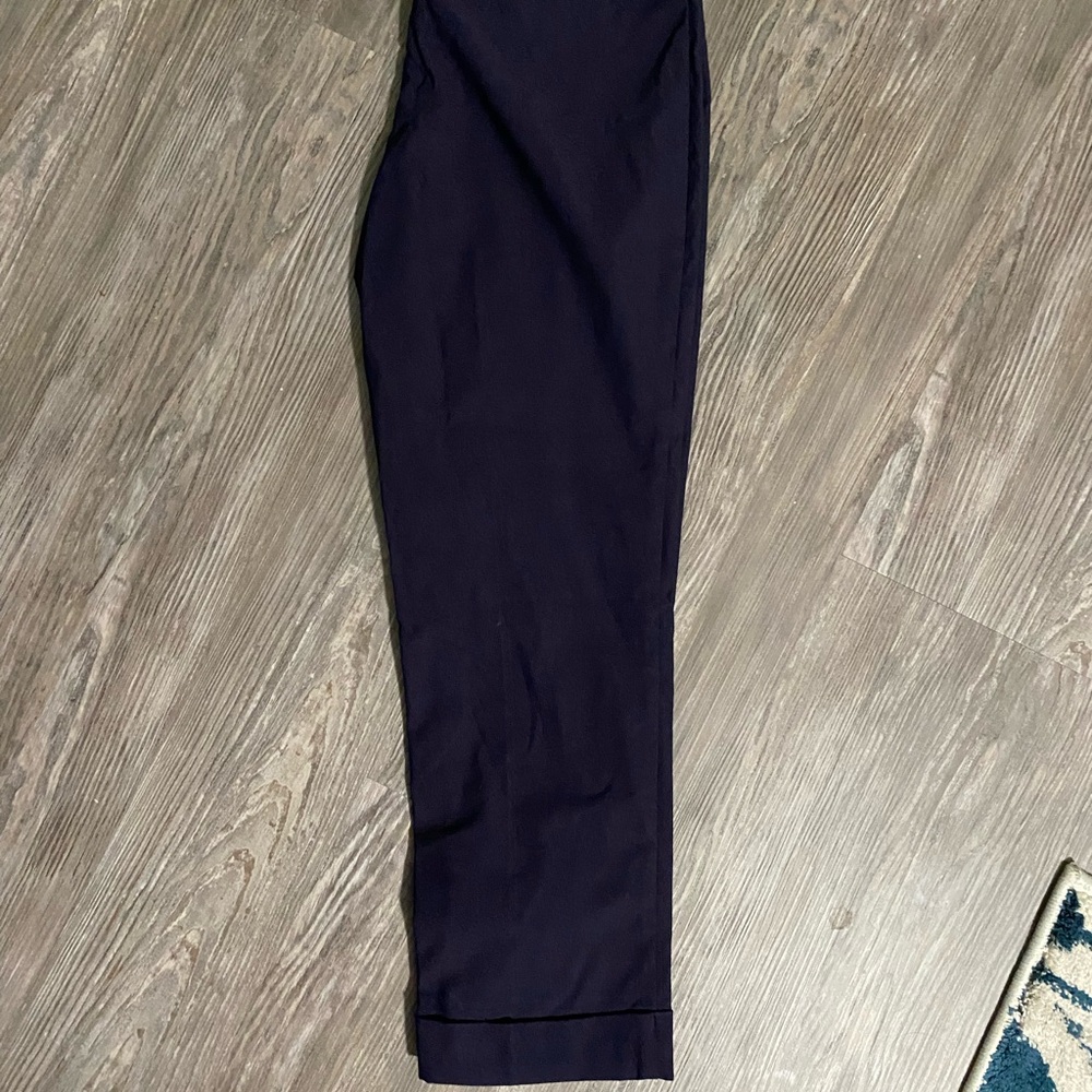 Stitch Fix ink crop pants